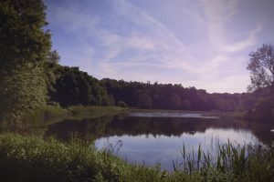 Poland, Lake, Forest, Landscape