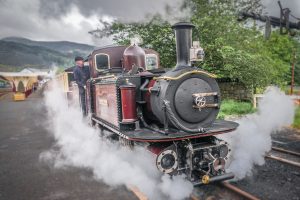 vehicle, Train, Steam locomotive