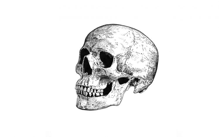 skull, Artwork, Minimalism, Monochrome HD Wallpaper Desktop Background