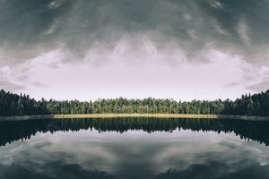 landscape, Lake, Forest, Horizon