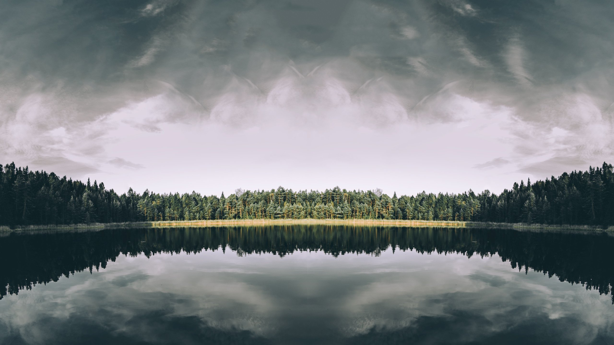 landscape, Lake, Forest, Horizon Wallpaper