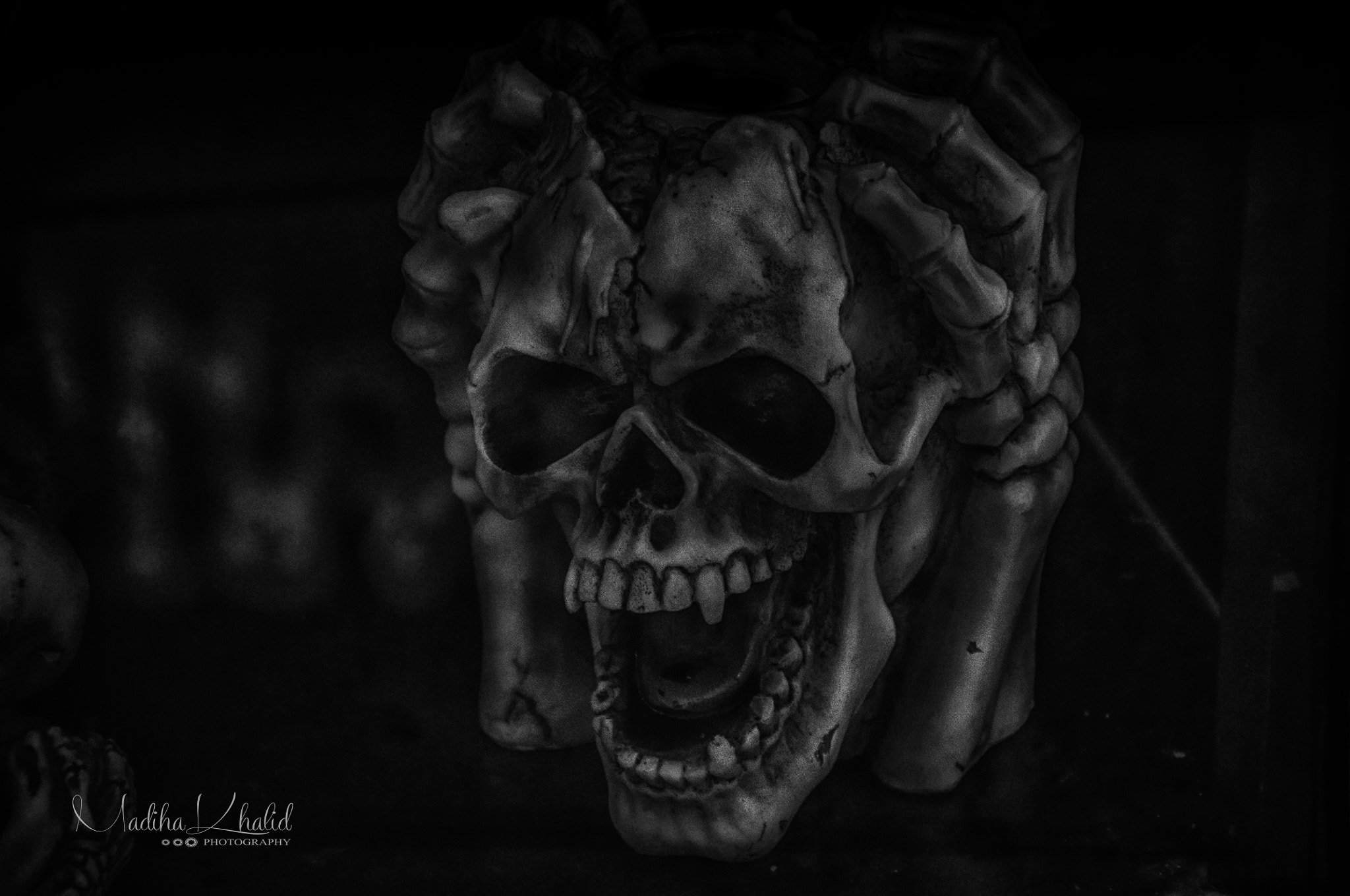 Madiha Khalid, 500px, Skull, Dark, Monochrome Wallpapers HD / Desktop