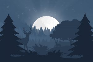 minimalism, Forest, Night, Moon rays