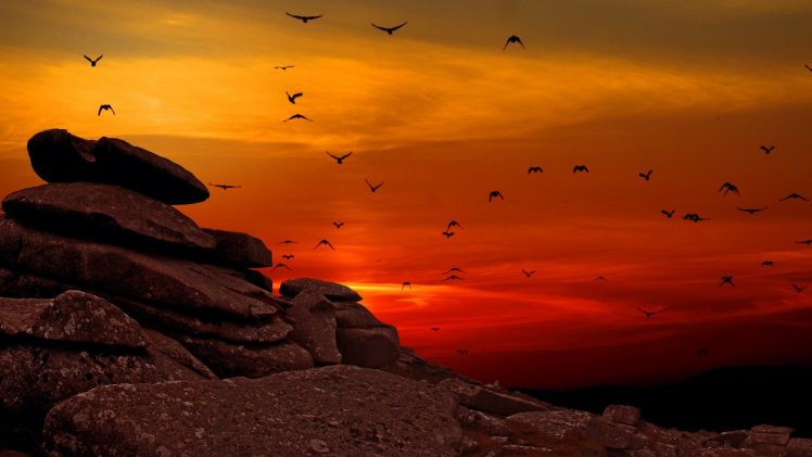 nature, Animals, Birds, Landscape, Rock, Sunset, Stones, Hills, Clouds HD Wallpaper Desktop Background