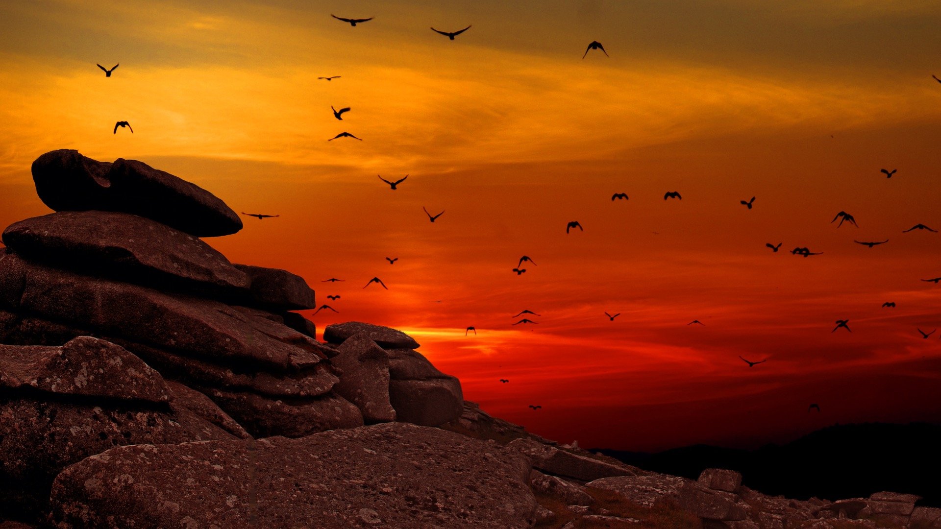 Nature Animals Birds Landscape Rock Sunset Stones Hills Clouds