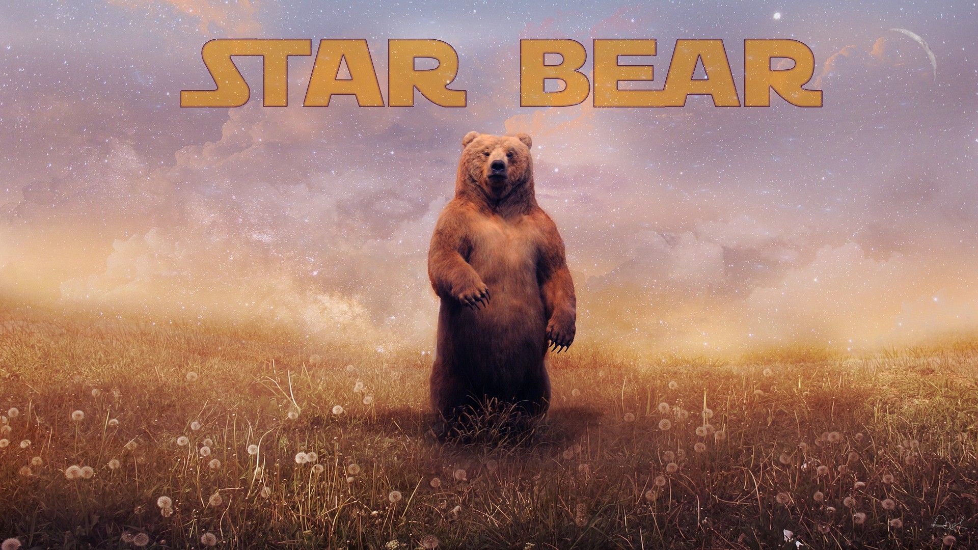 animals, Bears Wallpaper