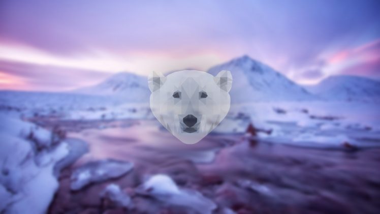 landscape, White, Polar bears, Mountains, Snow, Lake, Seafood HD Wallpaper Desktop Background