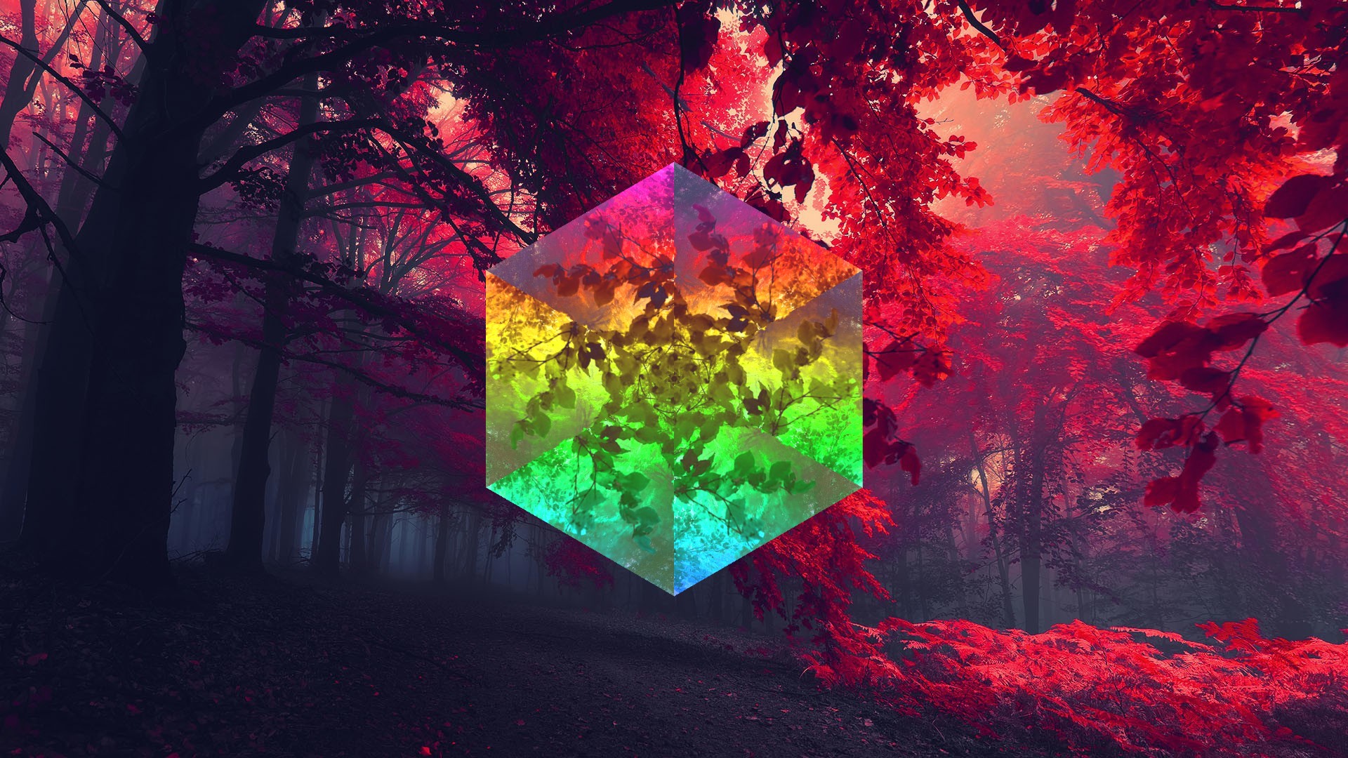 abstract, Digital art, Nature, Leaves, Trees Wallpaper