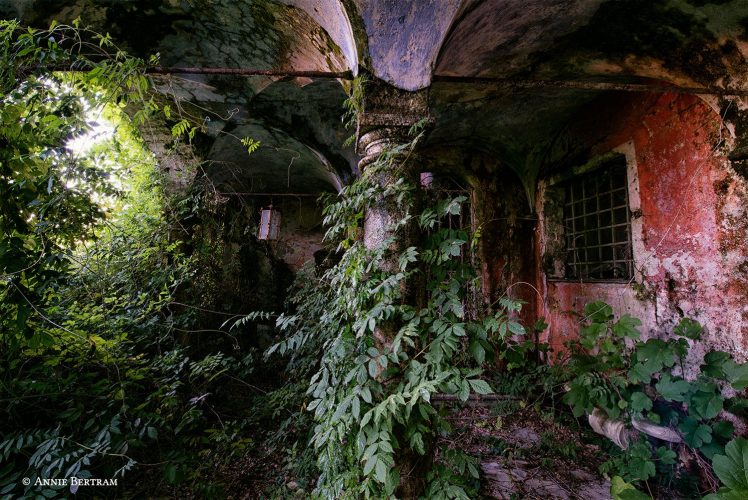 Annie Bertram, Plants, House, Ruin, Abandoned, 500px HD Wallpaper Desktop Background