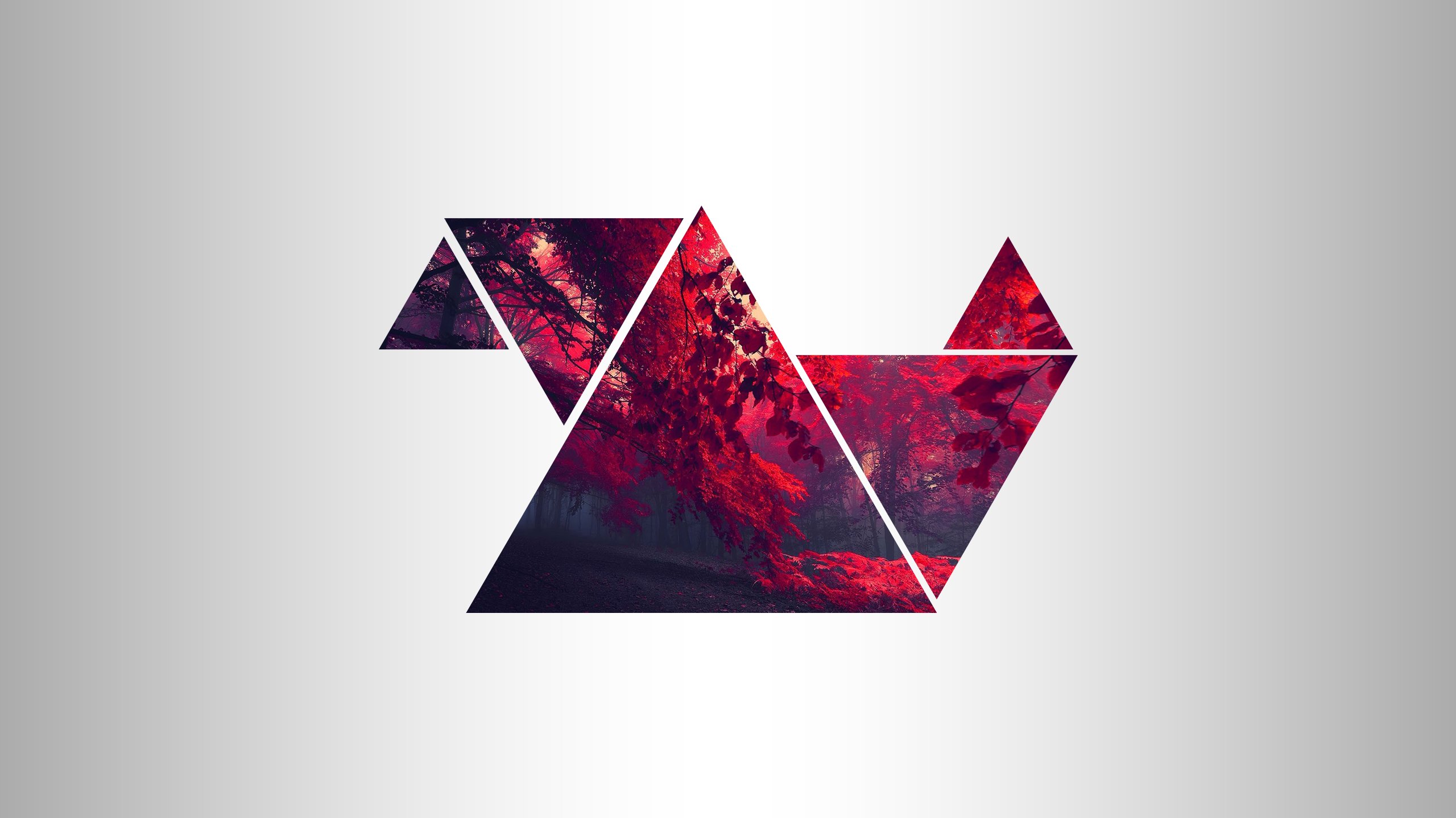 forest, Red, Triangle Wallpaper
