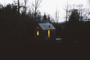 house, Cabin, Forest