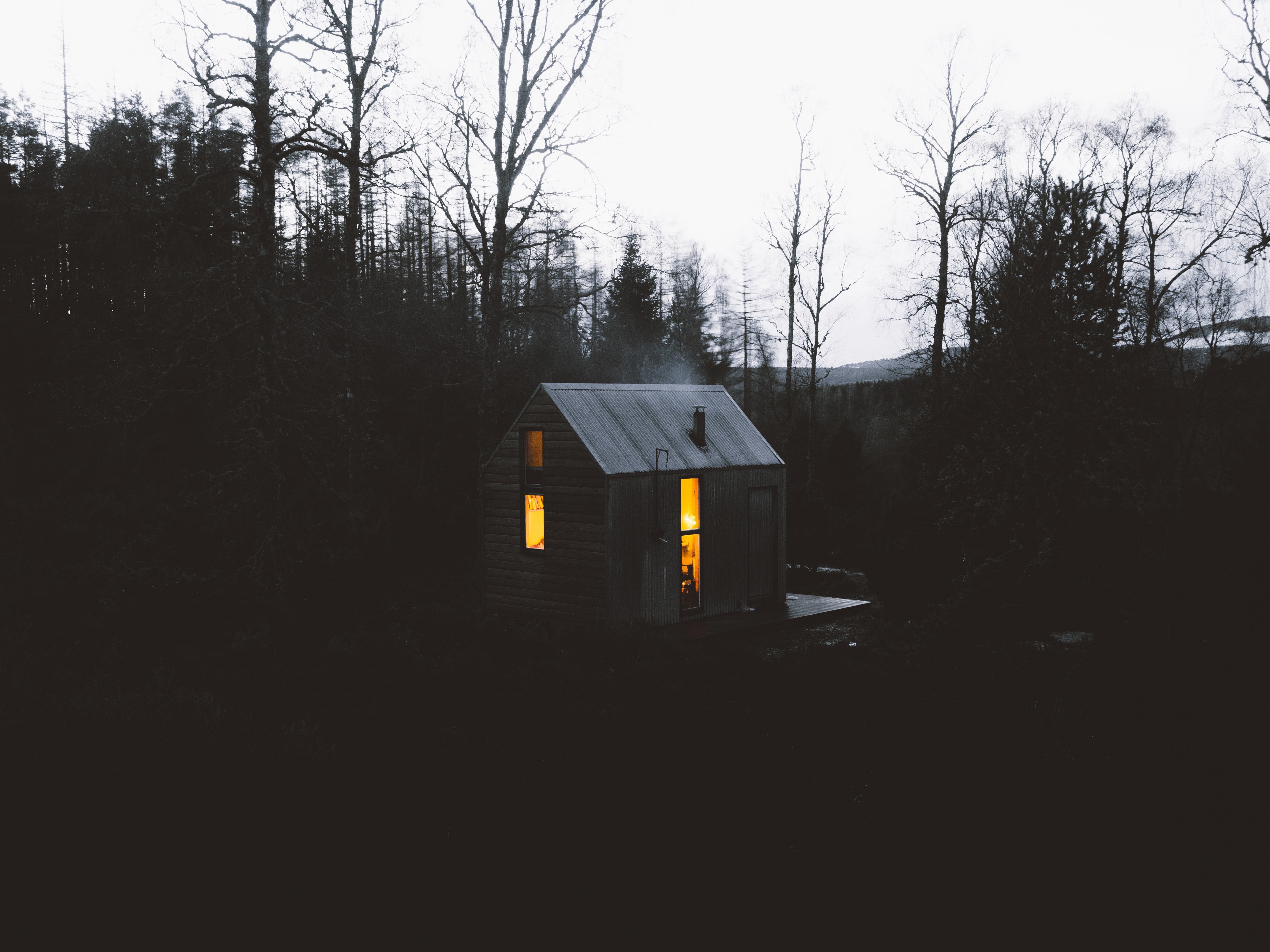 house, Cabin, Forest Wallpaper
