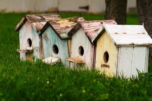 birdhouses, Grass