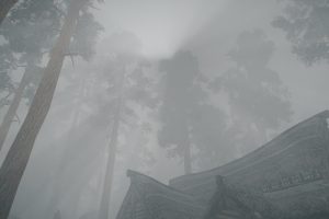 The Elder Scrolls V: Skyrim, Forest, Sun rays