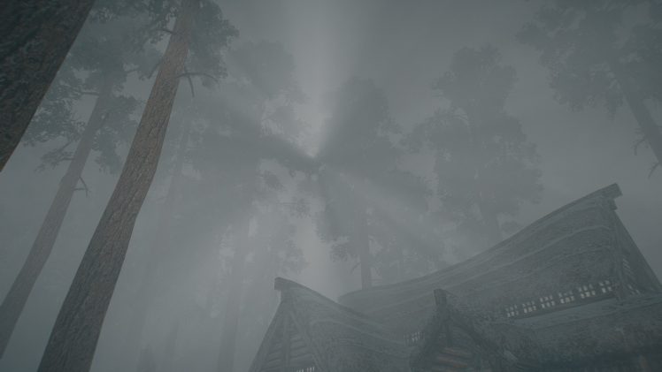 The Elder Scrolls V: Skyrim, Forest, Sun rays HD Wallpaper Desktop Background