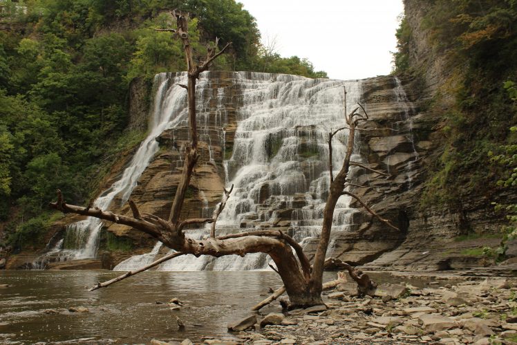 New York state, Waterfall, Dead trees, Landscape, Water, Rock HD Wallpaper Desktop Background