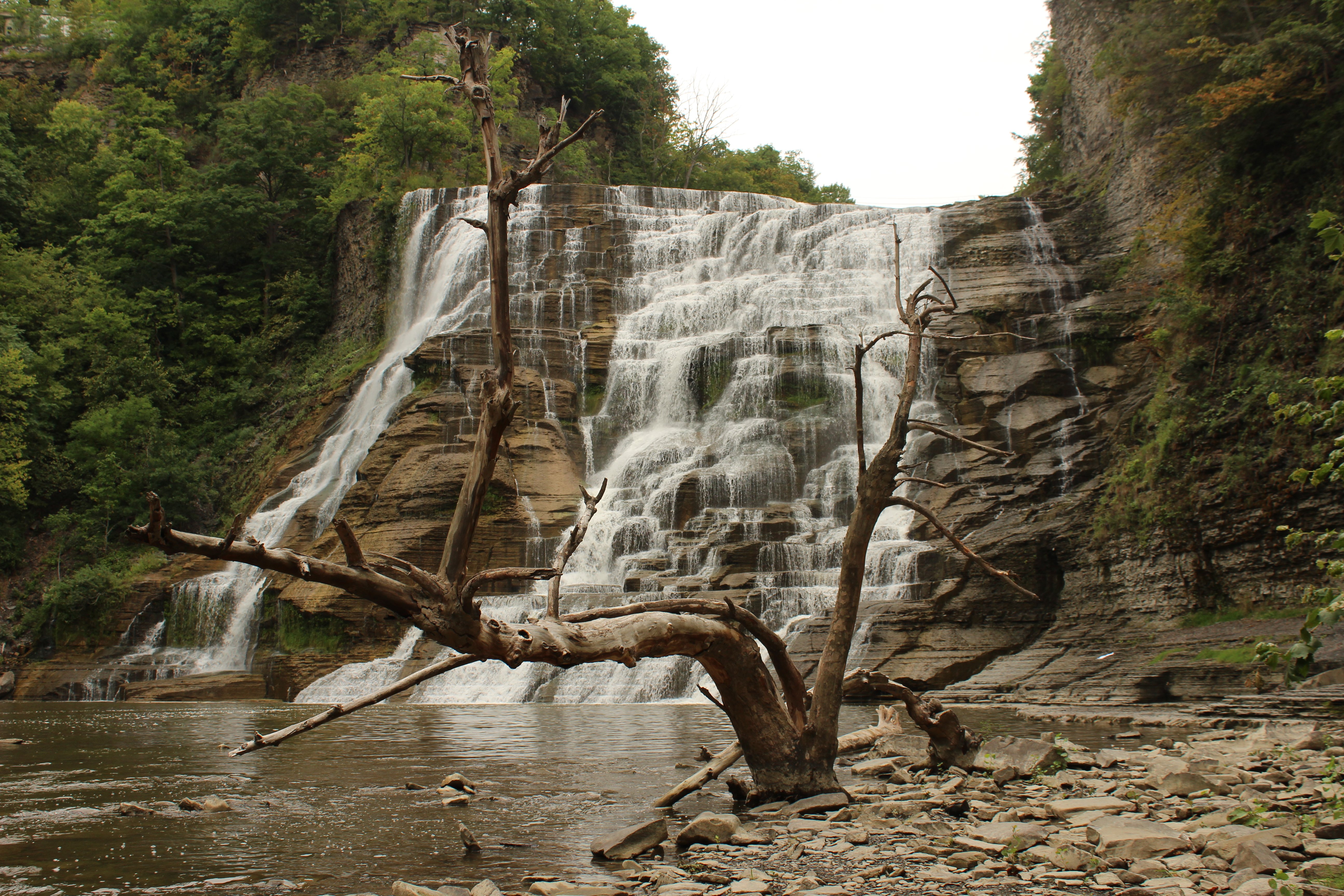 New York state, Waterfall, Dead trees, Landscape, Water, Rock Wallpaper