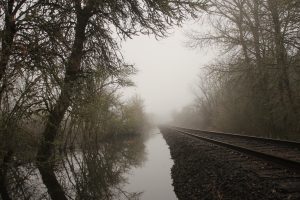 railroad track, Mist, Water, Reflection, Spooky, Street