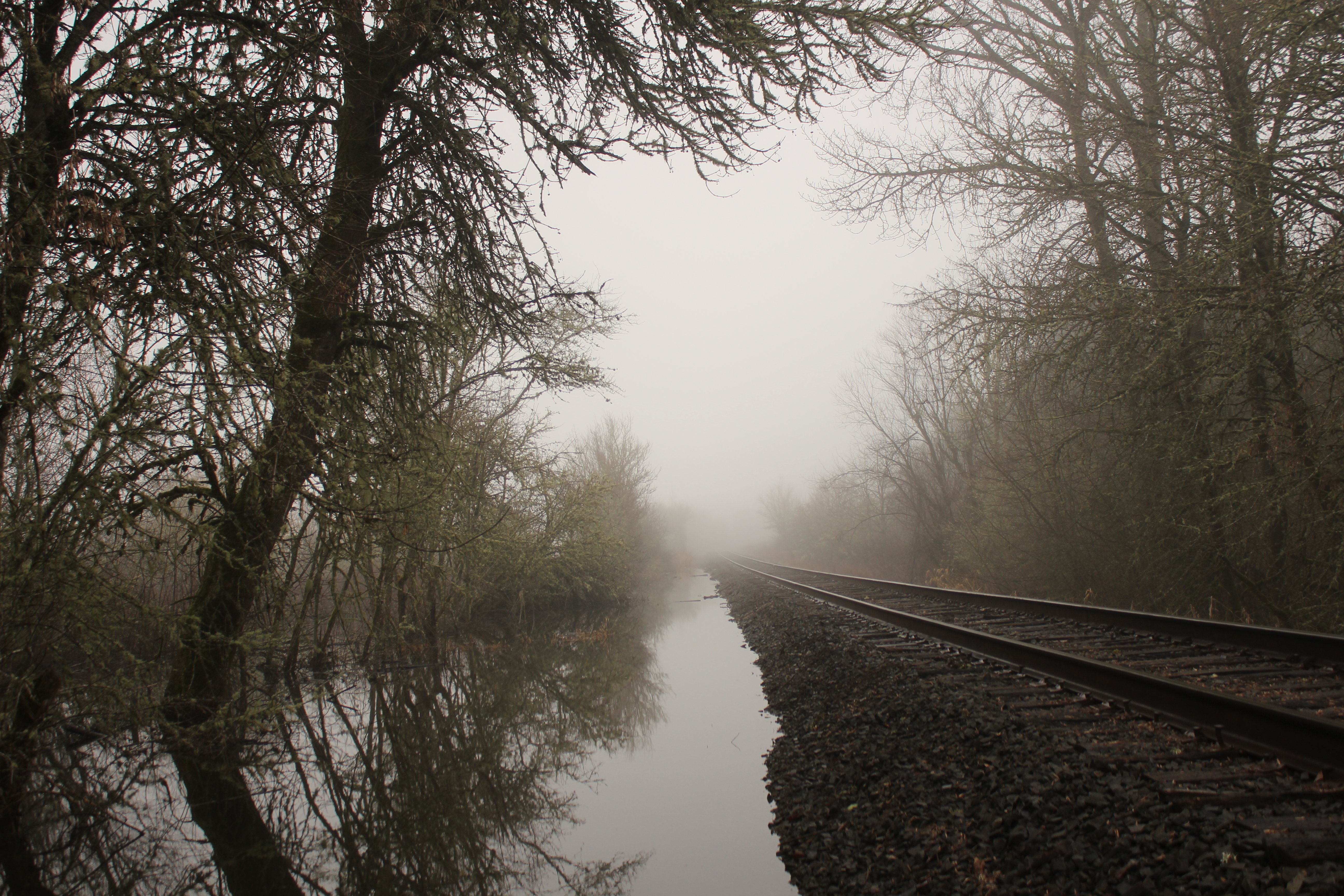 railroad track, Mist, Water, Reflection, Spooky, Street Wallpaper