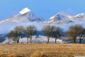 nature, Landscape, Mountains, Tatra Mountains, Slovakia, Snowy peak, Field, Winter, Trees, Snow, Mist