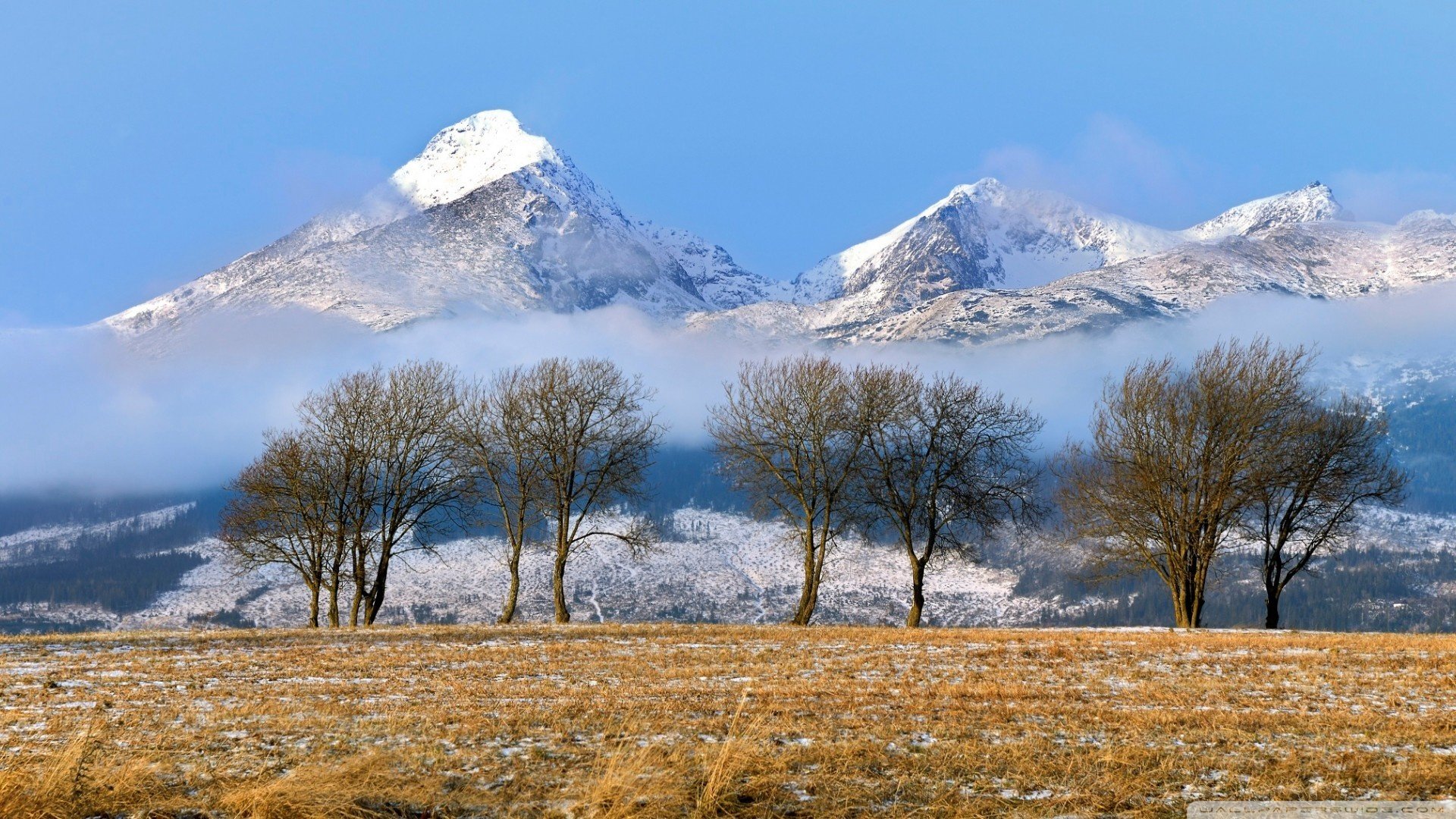 nature, Landscape, Mountains, Tatra Mountains, Slovakia, Snowy peak, Field, Winter, Trees, Snow, Mist Wallpaper