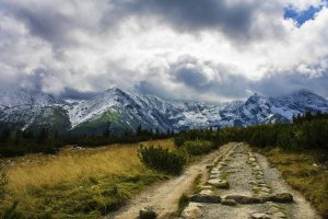 nature, Landscape, Mountains, Tatra Mountains, Slovakia, Snowy peak, Dirt road, Plants, Trees, Clouds, Stones, Pine trees, Forest