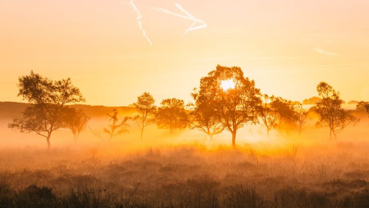 James Mills, Sunlight, Gold, Orange, 500px, Nature HD Wallpaper Desktop Background