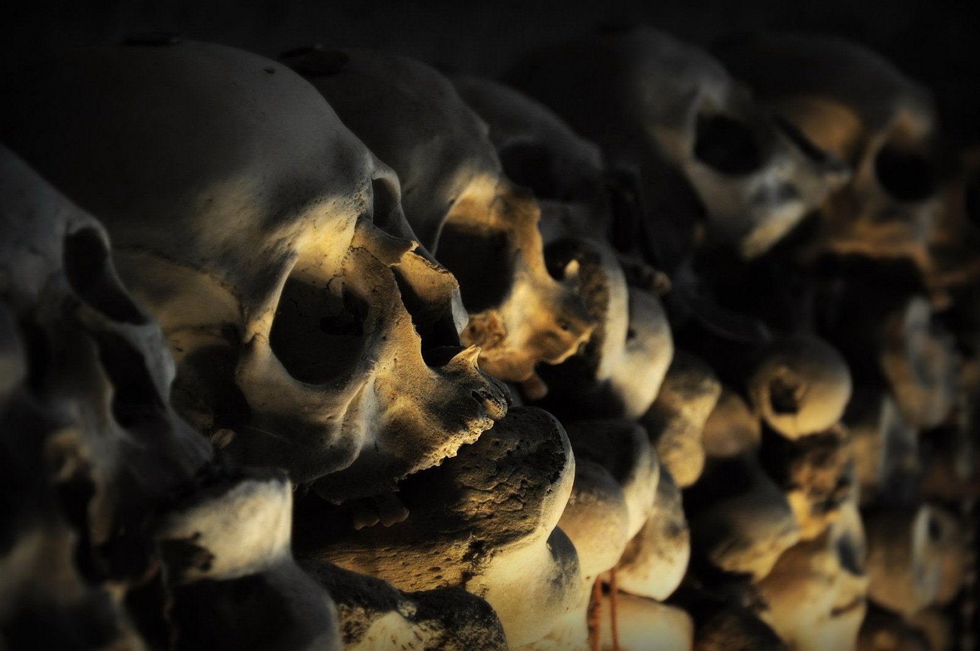 skeleton, Skull, Bones Wallpaper