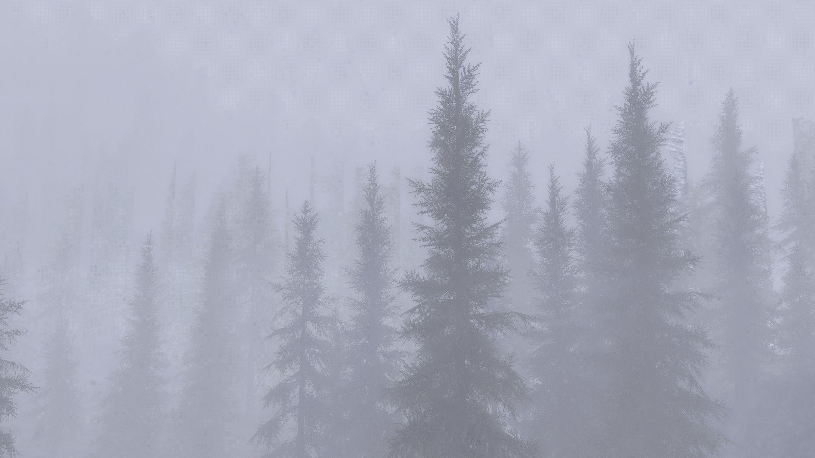 The Elder Scrolls V: Skyrim, Environment, Mist, Forest Wallpaper