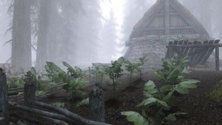 The Elder Scrolls V: Skyrim, Environment, Farm, Mist, Forest HD Wallpaper Desktop Background