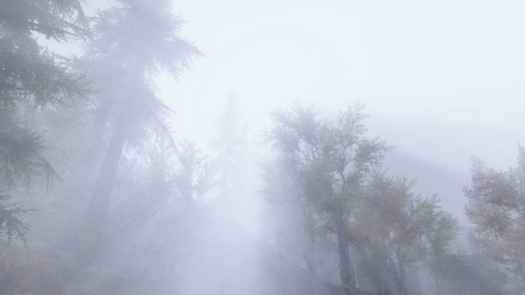 The Elder Scrolls V: Skyrim, Environment, Mist, Forest HD Wallpaper Desktop Background