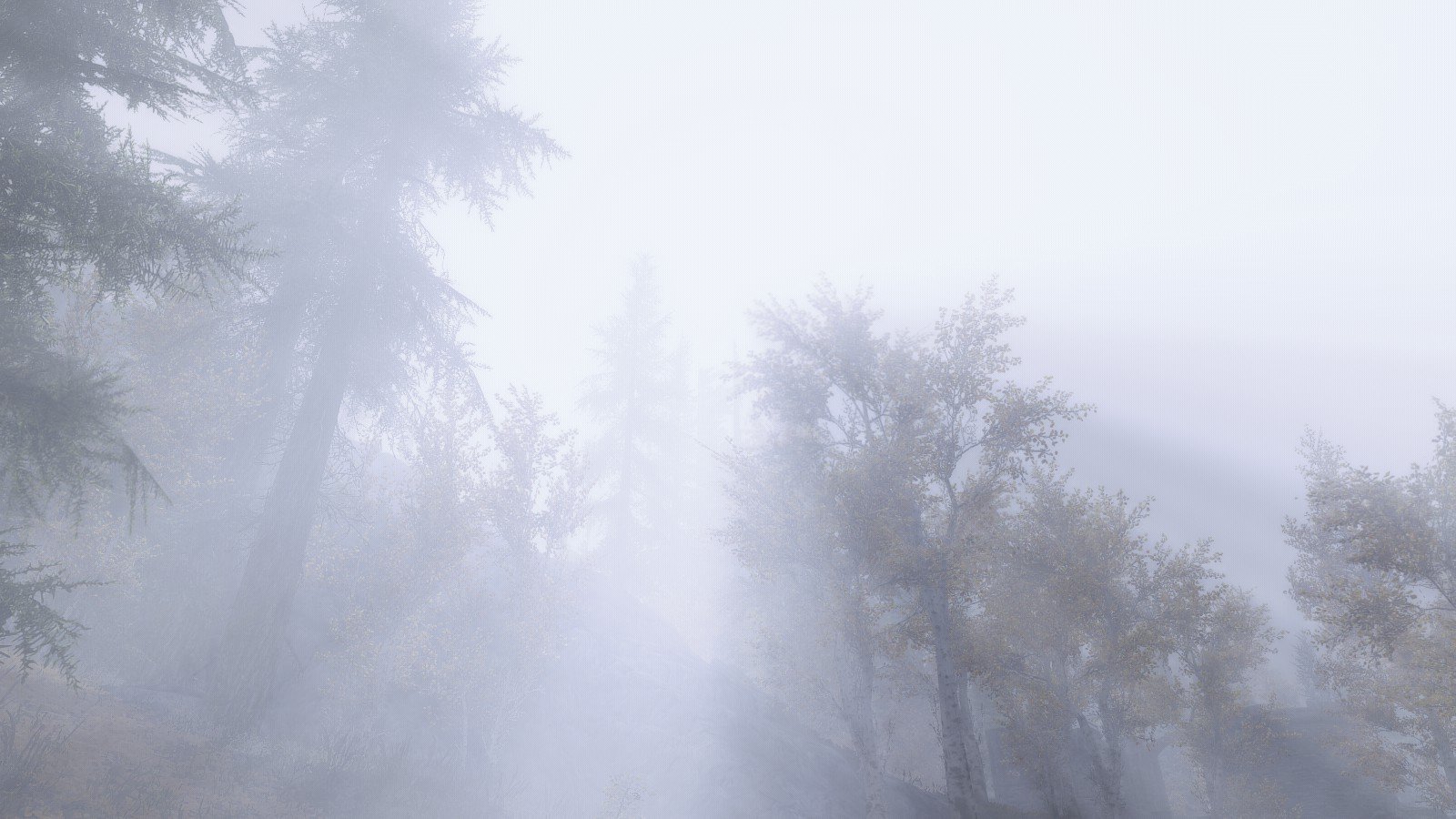 The Elder Scrolls V: Skyrim, Environment, Mist, Forest Wallpaper