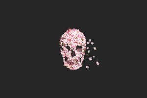 Sugar Skull, Skull, Rose