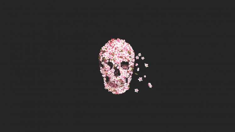 Sugar Skull, Skull, Rose HD Wallpaper Desktop Background
