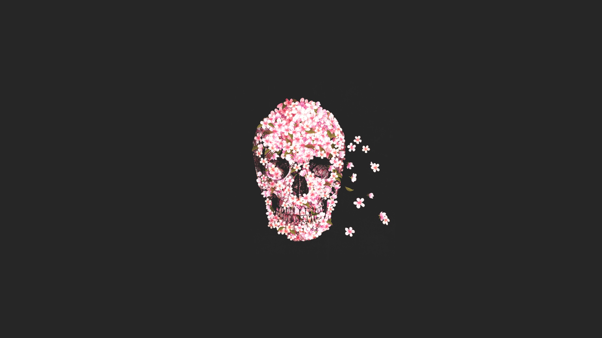 Sugar Skull, Skull, Rose Wallpaper