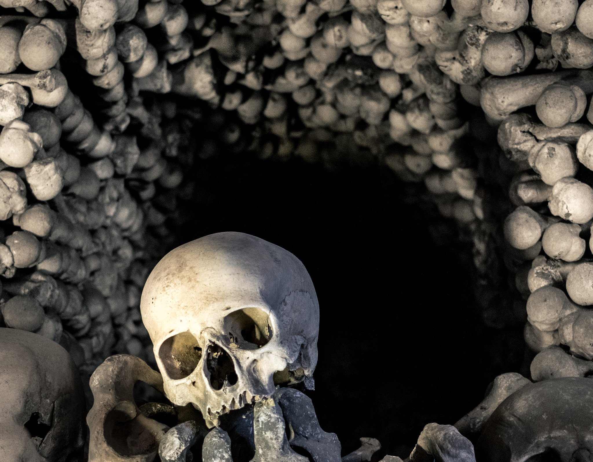 skull, Bones Wallpaper