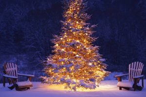 new, Year, Christmas, Christmas, Tree, Lights, Snow, Chair, Winter, Bokeh