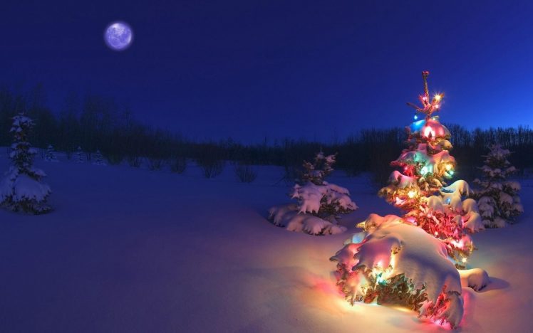 winter, Night, Moon, Christmas, Tree, Garlands, Nature HD Wallpaper Desktop Background