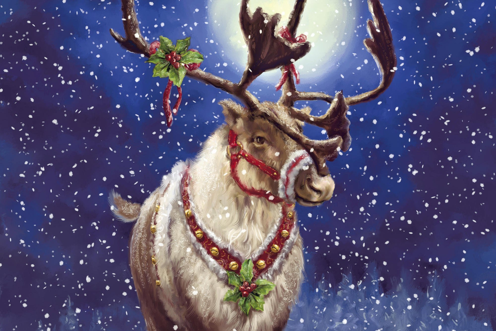 holidays, Christmas, Seasonal, Festive Wallpaper