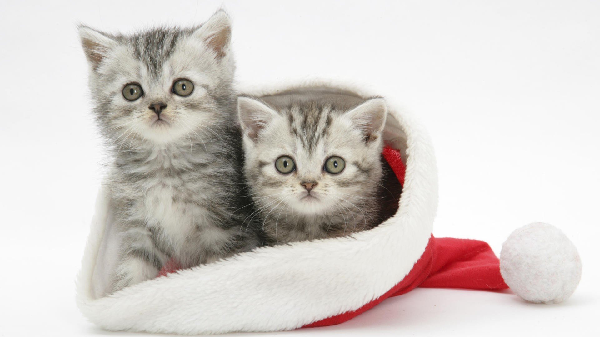 holidays, Christmas, Seasonal, Festive Wallpaper