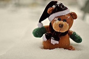 bear, Animals, Teddy, Teddy bear, Bokeh, Winter, Snow, Seasonal