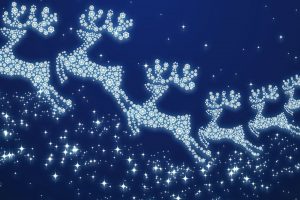 christmas, Holiday, Reindeer