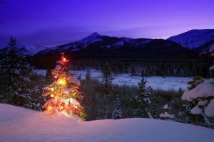 christmas, Trees, Snow, Landscapes