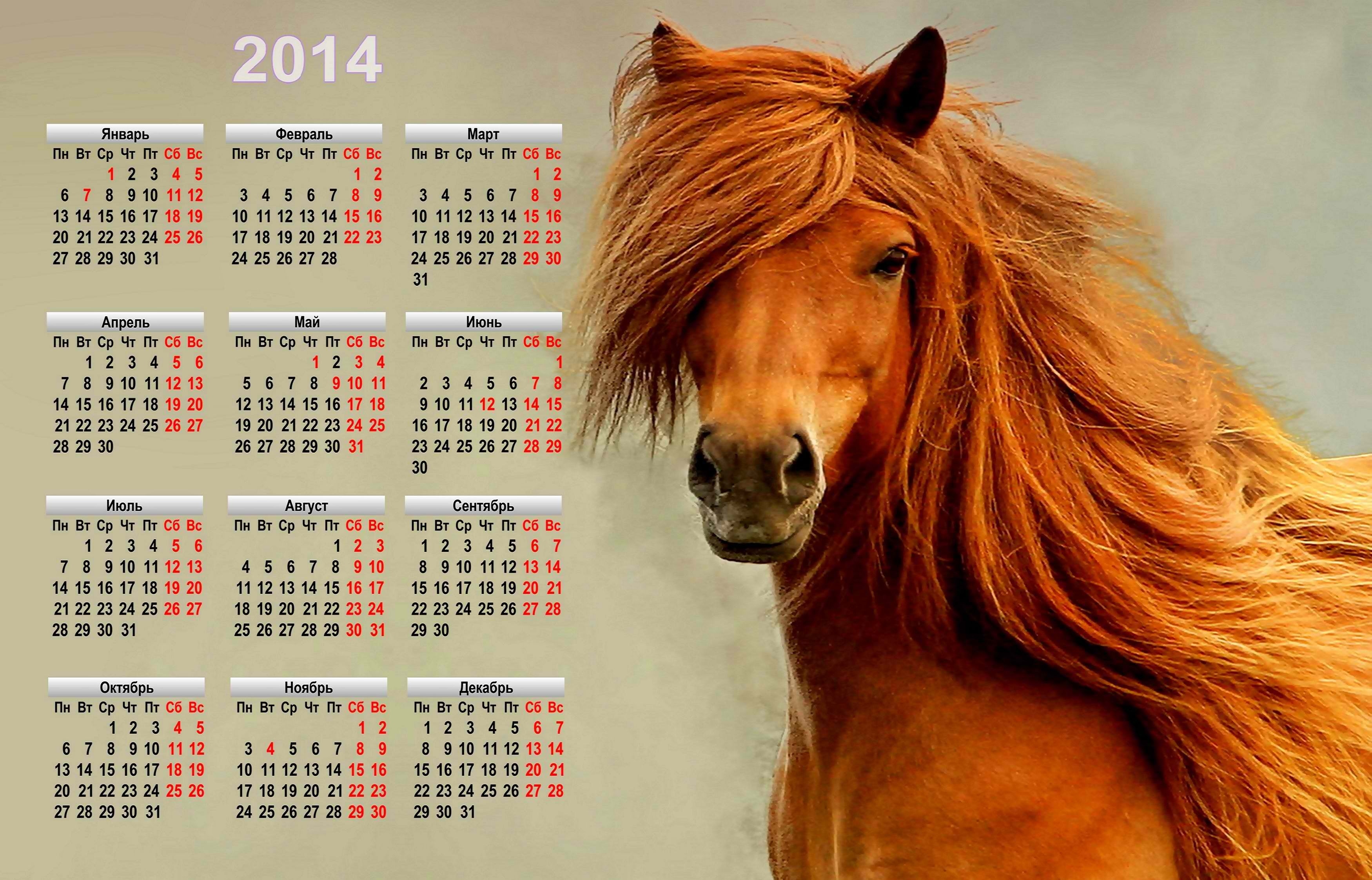 holiday, New Year, Calendar, Symbol, 2014, Horse Wallpaper