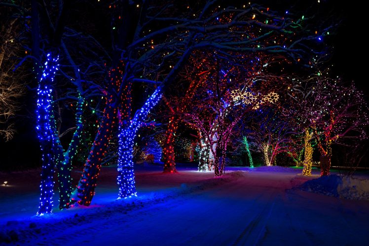 trees, New Year, Street, Winter, Snow, Light HD Wallpaper Desktop Background