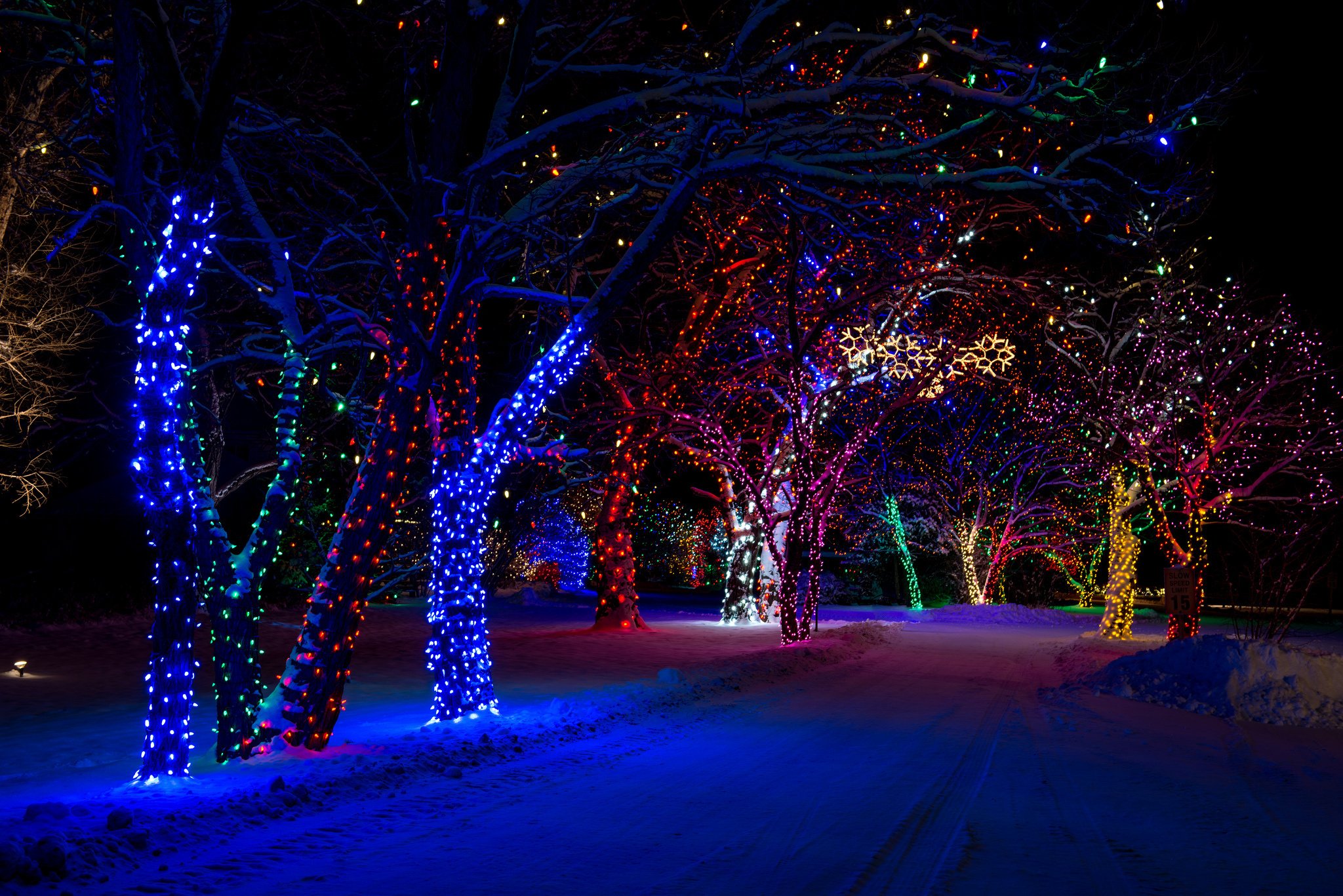 trees, New Year, Street, Winter, Snow, Light Wallpaper