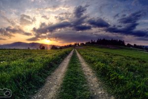path, Field, Green, Grass, Sky, Clouds, Sun, Sunlight, Sunset, Nature, Landscape, Poland