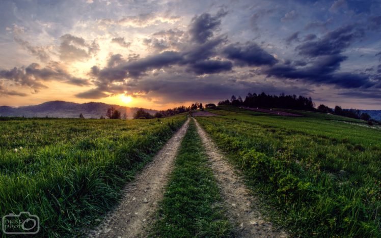 path, Field, Green, Grass, Sky, Clouds, Sun, Sunlight, Sunset, Nature, Landscape, Poland HD Wallpaper Desktop Background