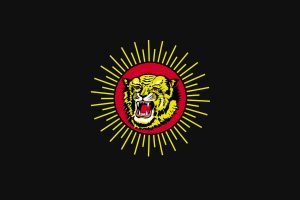 Naam Tamilar, NTK, Tiger, Flag, Tamil nadu