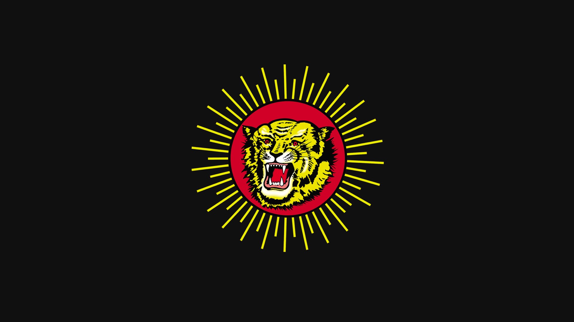 Naam Tamilar, NTK, Tiger, Flag, Tamil nadu Wallpapers HD / Desktop and  Mobile Backgrounds